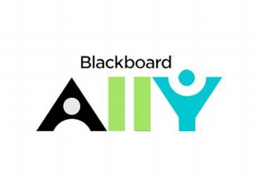 Blackboard Ally